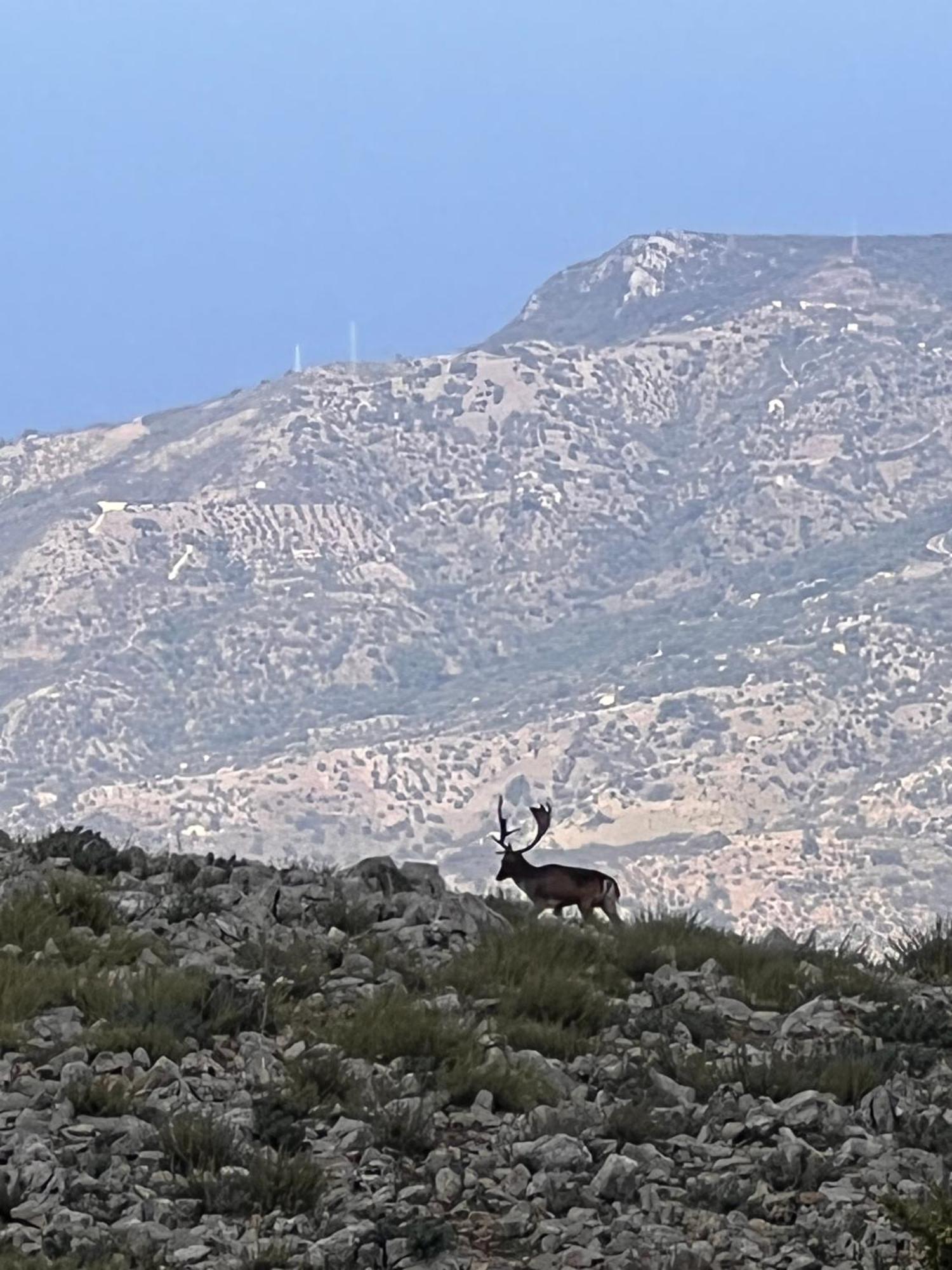 הוילה Collesano Mandra Chiusilla מראה חיצוני תמונה